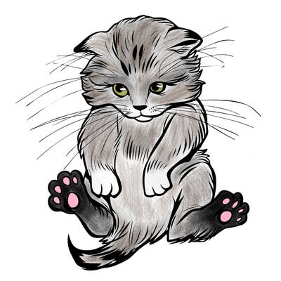 animals_20