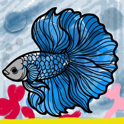betta fish