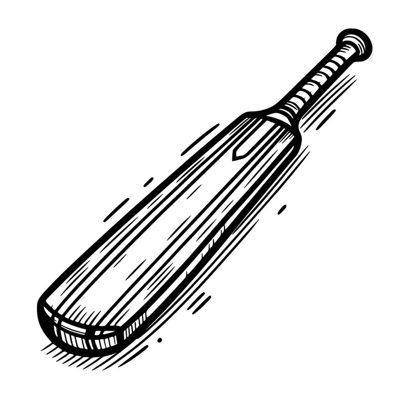 cricket bat