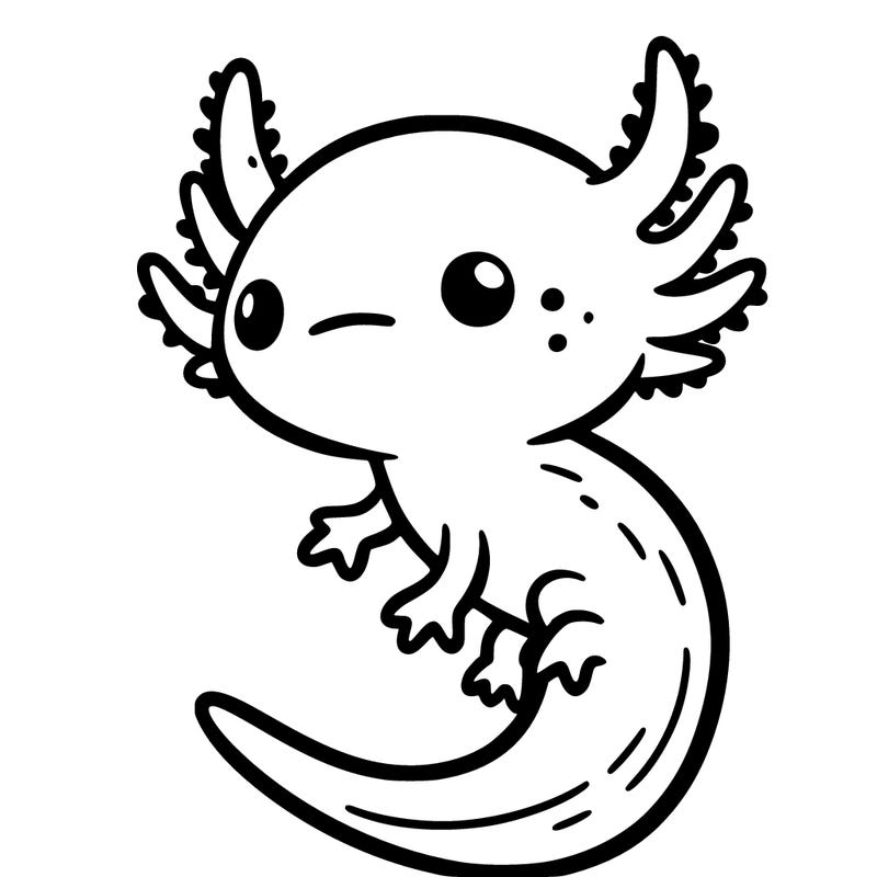 to axolotl