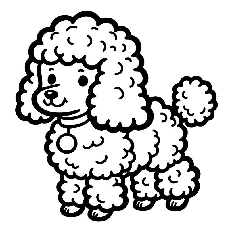 poodle