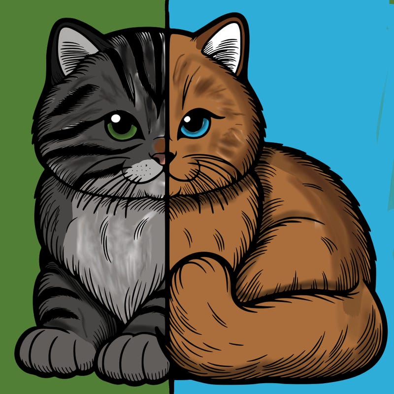 realistic split cat