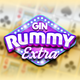 Gin Rummy Extra - Card Game