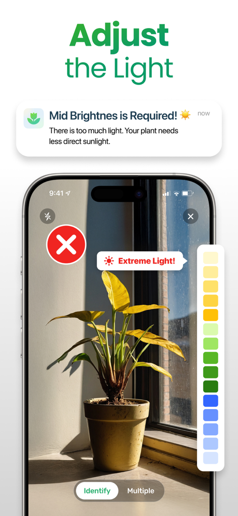 Plant App: Plant Identifier - Light meter feature in the Plant App showing a warning for extreme sunlight on a houseplant