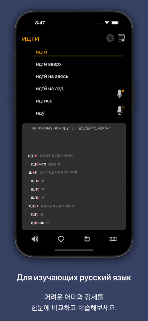 Interfaz de KoRusDic Pro mostrando conjugaciones verbales rusas y formas gramaticales para estudiantes de coreano.