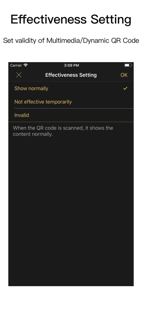 QR Code Studio Pro-QR Scanner - Interface for managing the validity and effectiveness of dynamic QR codes
