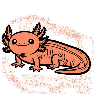 axolotl