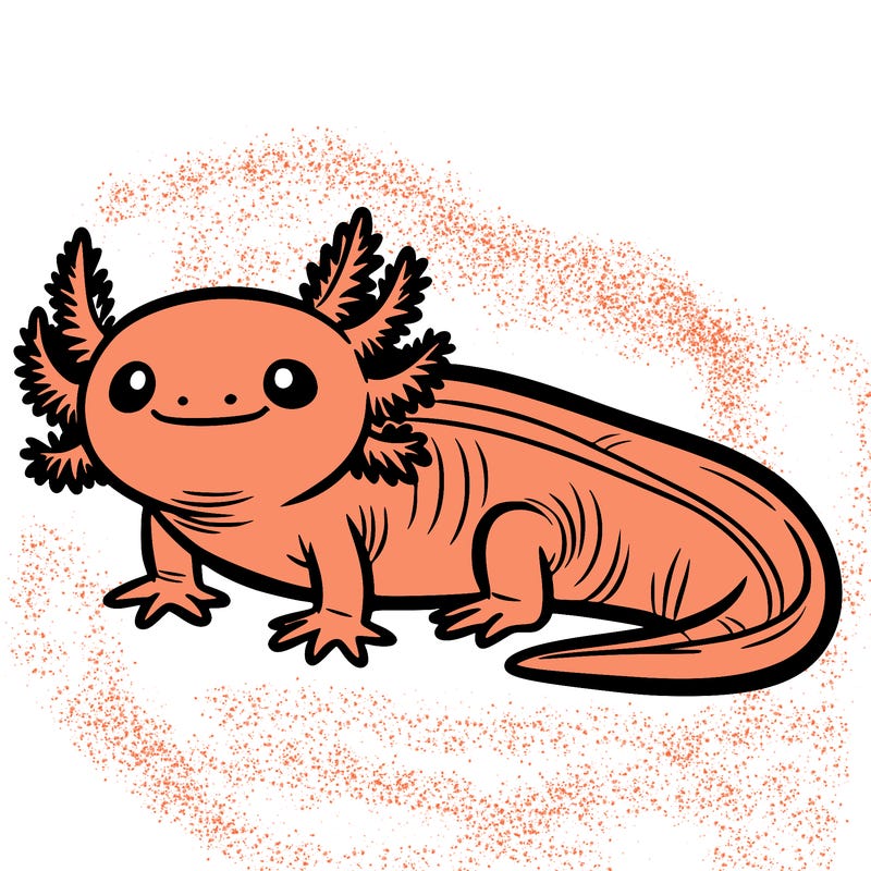 axolotl