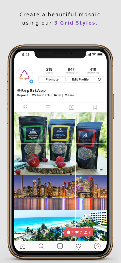 Rep0st - Repost for iG & X - Instagram profile interface showing a photo split into a three by three mosaic grid