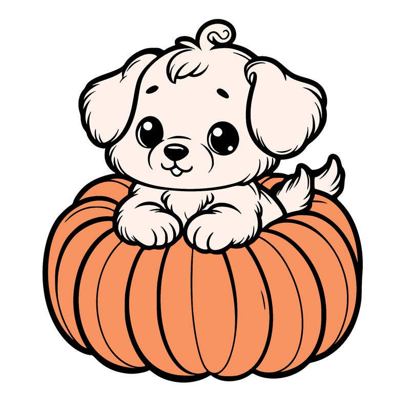 cute little puppy in a pumpkin