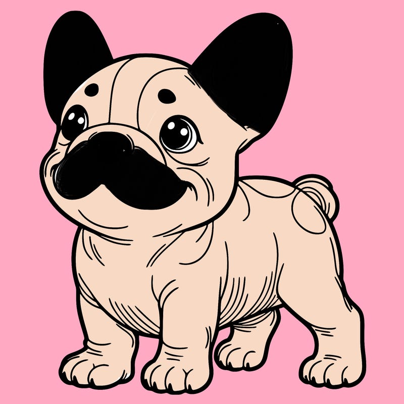 french bulldog