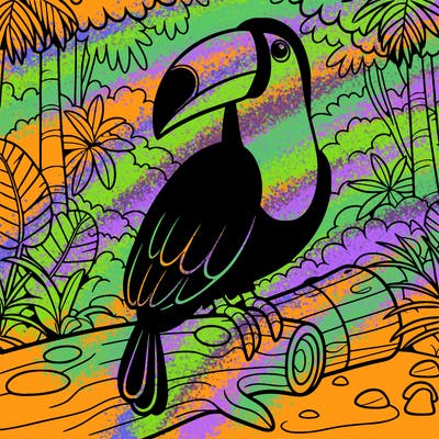 a tucano in the amazon jungle