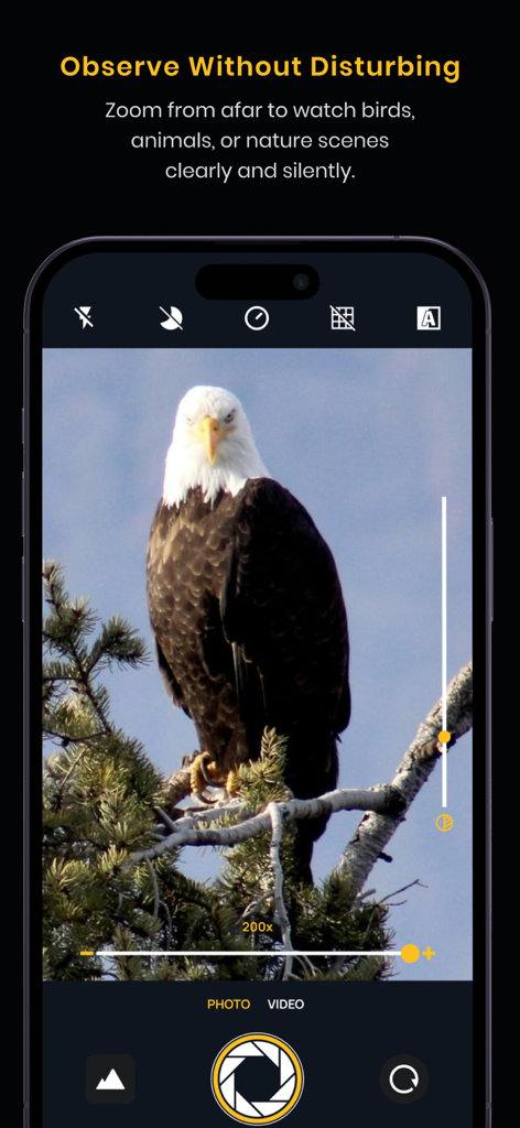 Ultra Camera Pro 200x Tele Cam - Uma águia capturada com zoom 200x usando o aplicativo Ultra Camera Pro