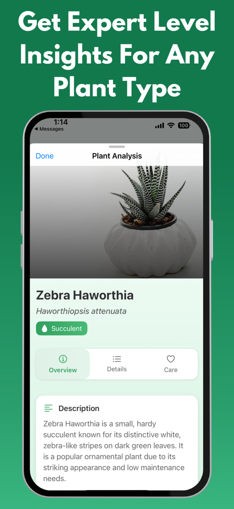 Plant Identifier: PlantRobot - Captura de pantalla de la aplicación móvil PlantRobot que muestra información y identificación de expertos para una planta de Haworthia cebra