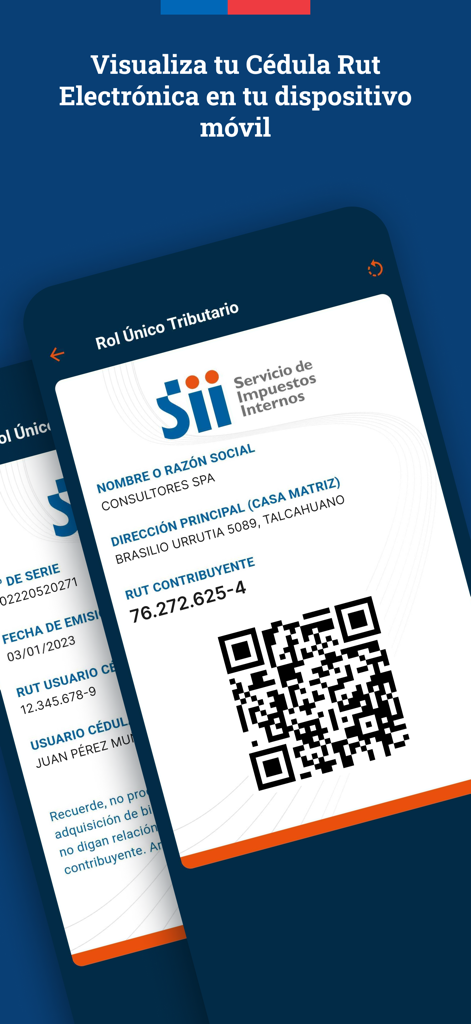 Digital Chilean tax identification card displayed on a mobile phone screen.