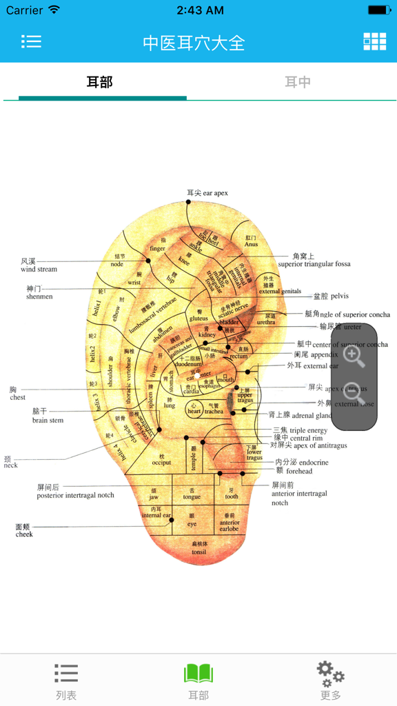 Detaillierte Ohrakupunkturkarte mit Ohrakupunkturpunkten, die mit chinesischen und englischen Bezeichnungen versehen sind