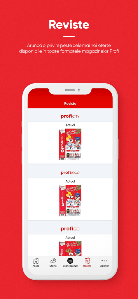 Profi - 다양한 매장 형식에 대한 디지털 주간 카탈로그를 보여주는 Profi 앱 스크린샷