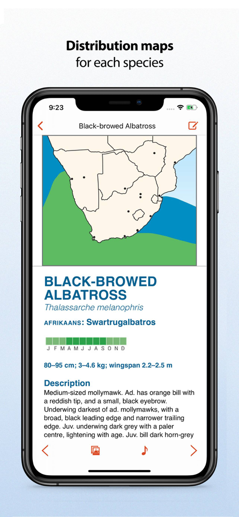 Screenshot dell'app Sasol eBirds che mostra una mappa di distribuzione e un profilo dettagliato per l'Albatro sopraccigliato