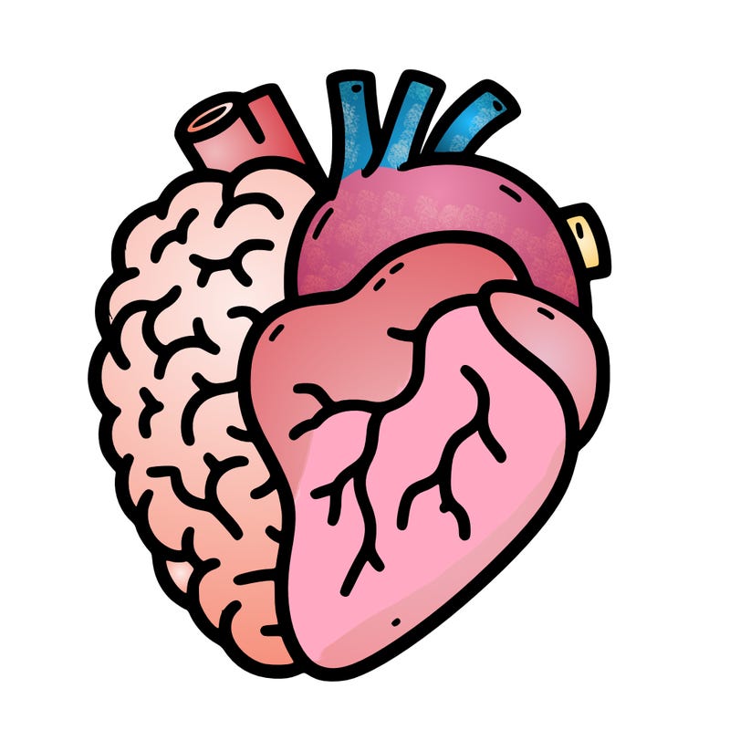 brain and heart
