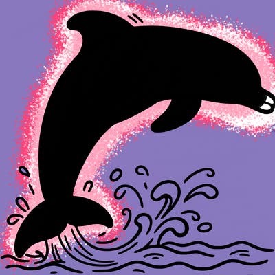 dolphin