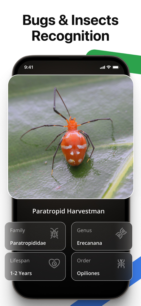 Lens AI app interface identifying a Paratropid Harvestman insect with family and genus details