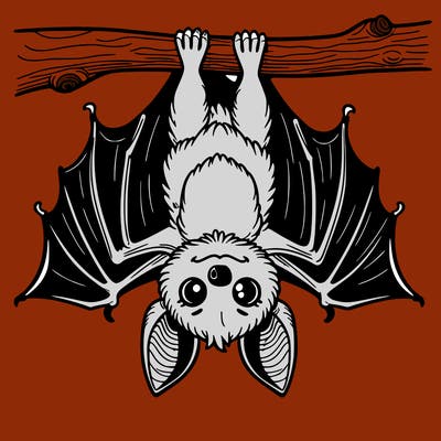 bat hanging upside down