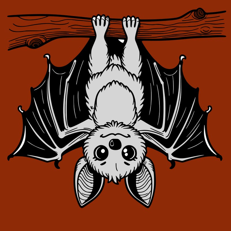 bat hanging upside down