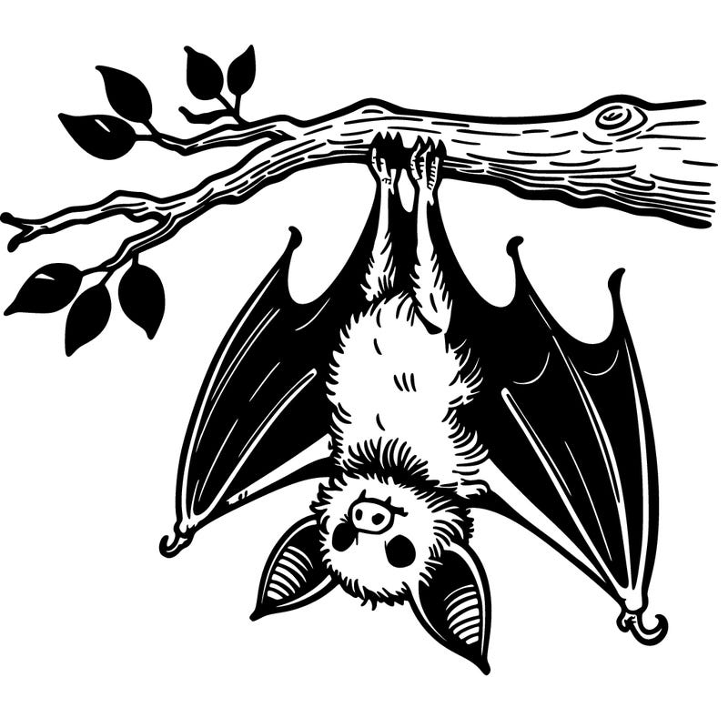 a bat hanging upside down from a tree branch