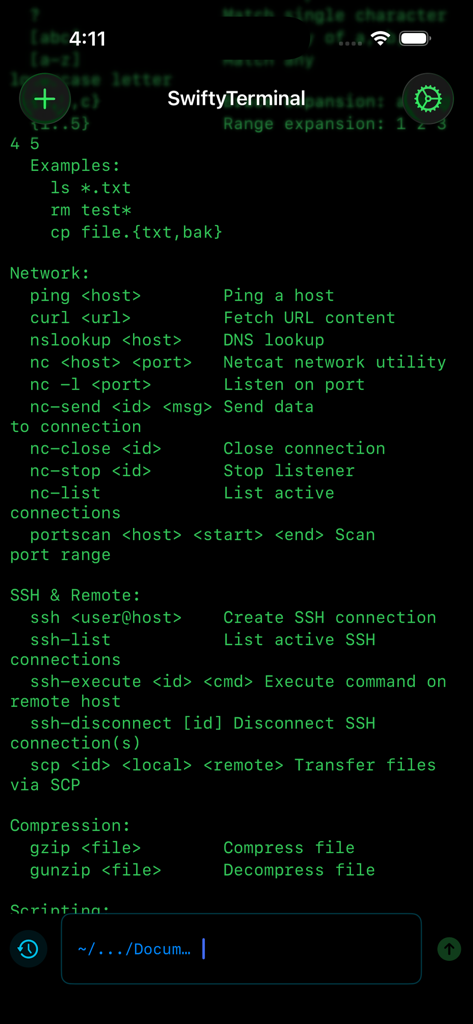 SwiftyTerminal interface displaying network and SSH terminal commands on iOS.