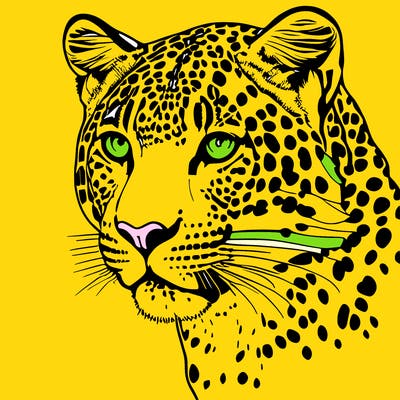 leopard