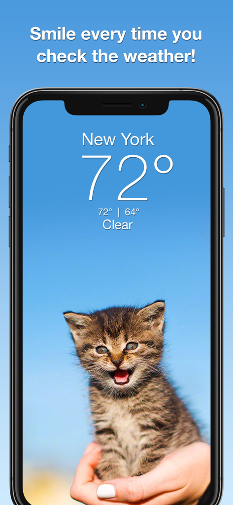 Aplicación Weather Kitty que muestra un gatito adorable y el pronóstico del tiempo de Nueva York