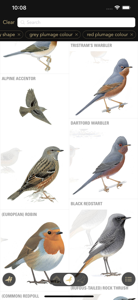 Collins British Bird Guide - A search results page in the Collins Bird Guide app showing detailed illustrations of various bird species like the European Robin and Black Redstart filtered by plumage color.