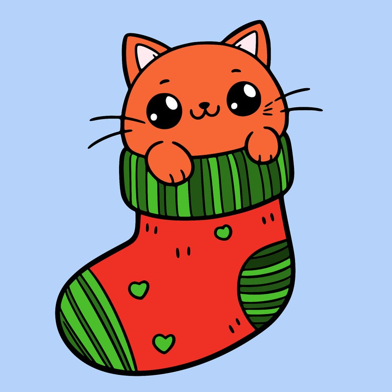 cute cat in a sock
