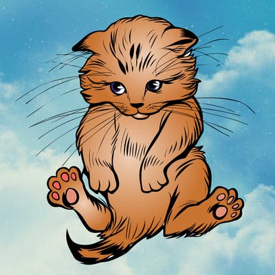 animals_20