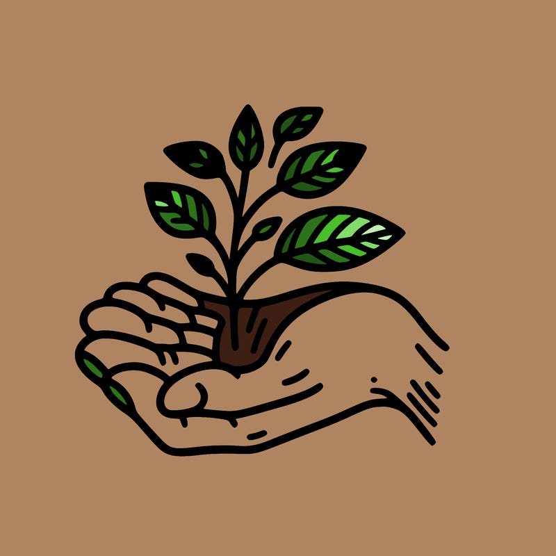 hand with plant