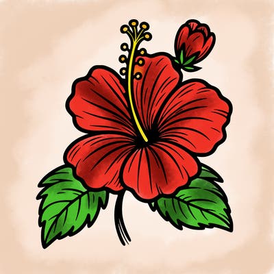 hibiscus flower