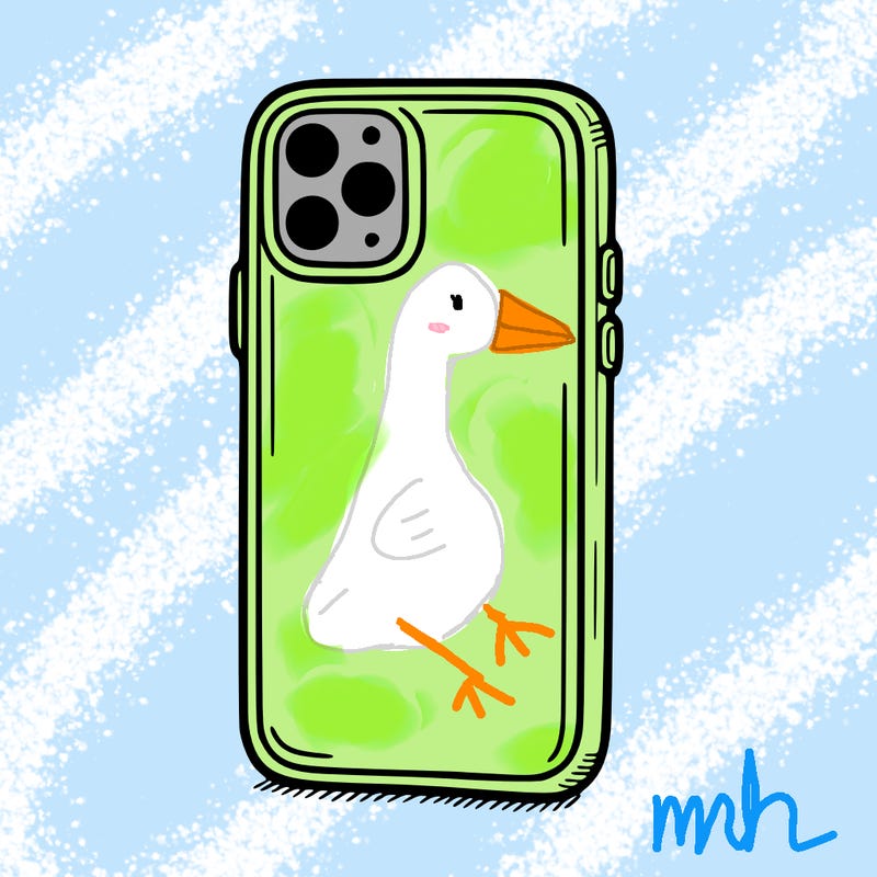 phone case