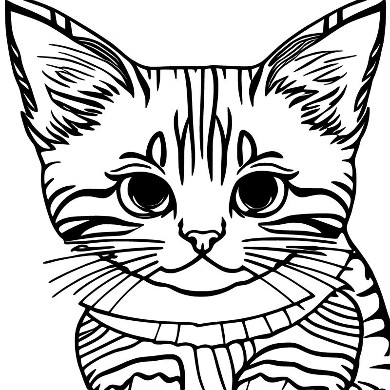 cute kitten with big eyes