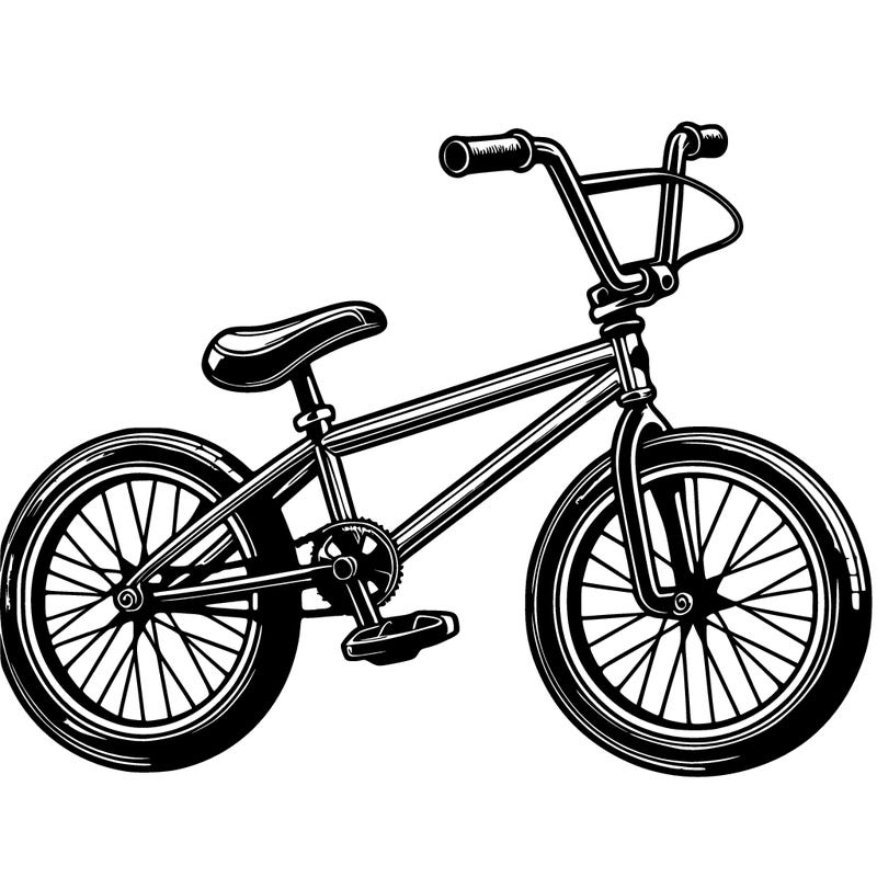 20 inc bmx