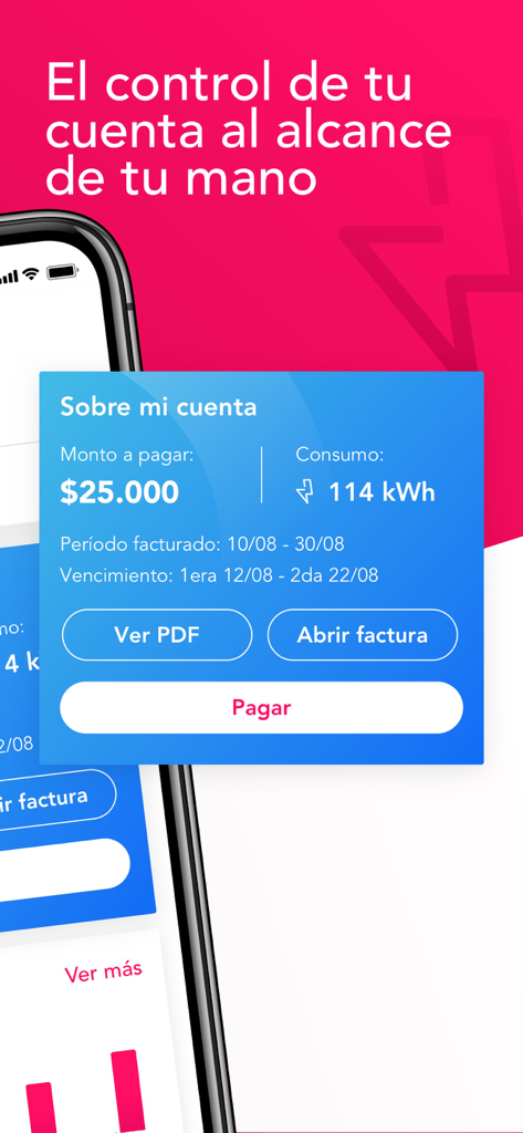 Enel Clientes Colombia - Pantalla de la aplicación móvil Enel Clientes Colombia que muestra el saldo de la cuenta y los detalles del consumo de energía con un botón de pago