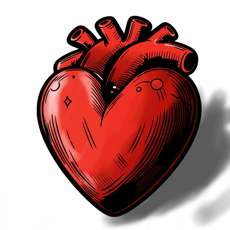 realistic heart
