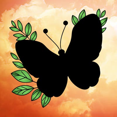 butterfly