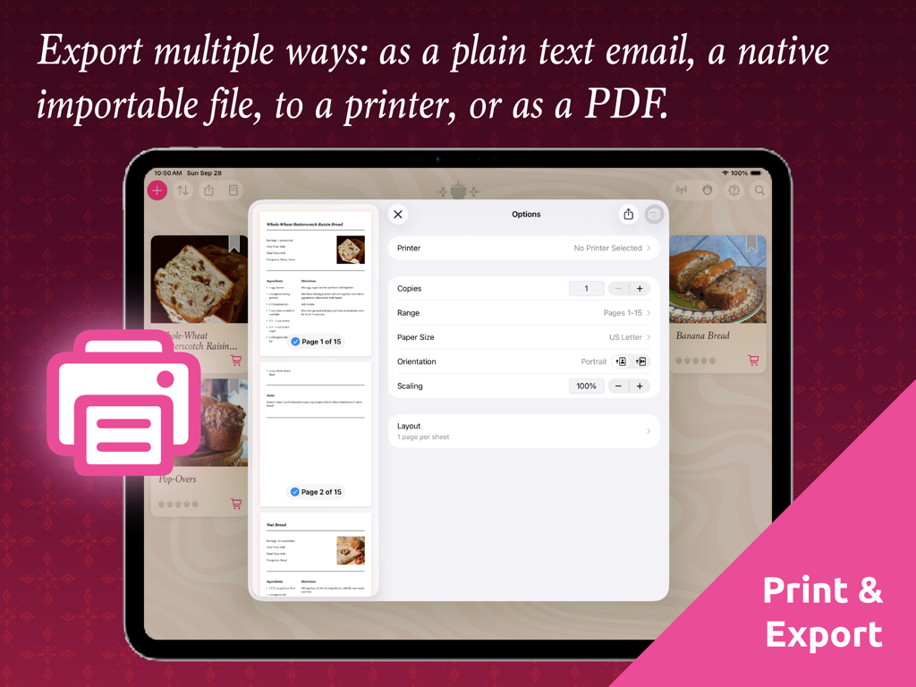 Interface of The Recipe Box app showing options to print and export recipes as PDF or email on an iPad
