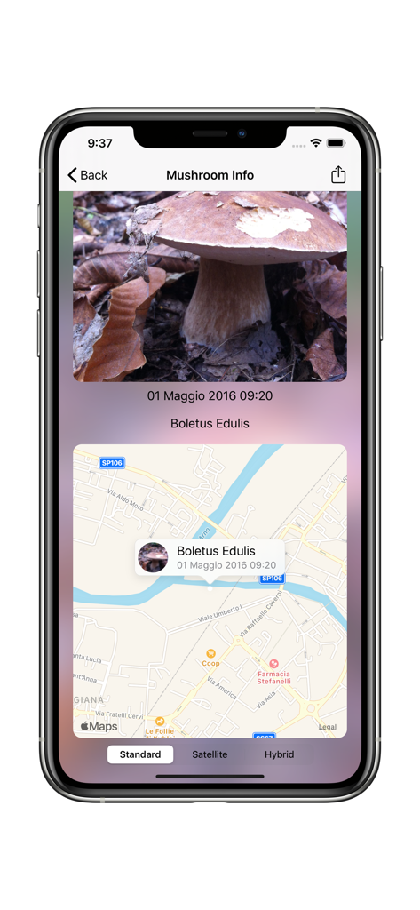 Track My Mushrooms - Detail view of a mushroom find with photo and GPS map location in the Track My Mushrooms app