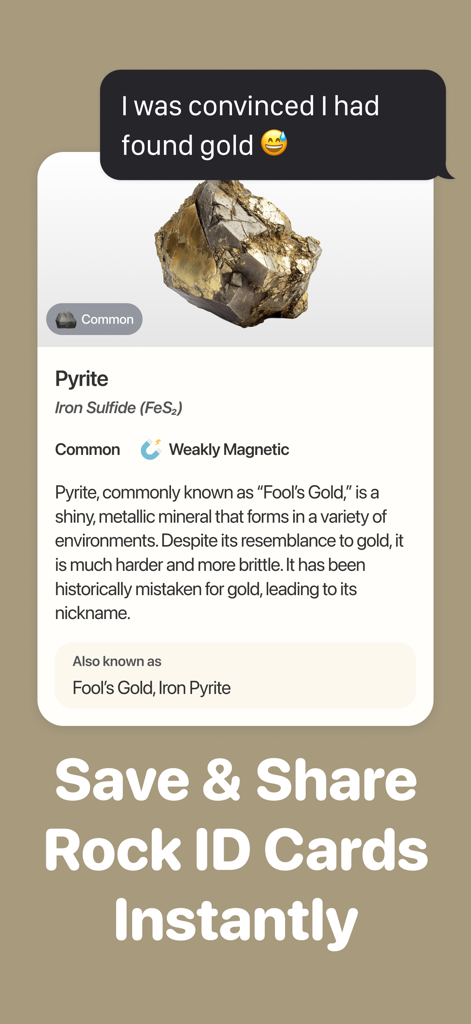 Stone Identifier by RockPic - Una tarjeta de identificación digital de roca para Pirita que muestra detalles del mineral y nombres comunes en la aplicación Identificador de Piedras.
