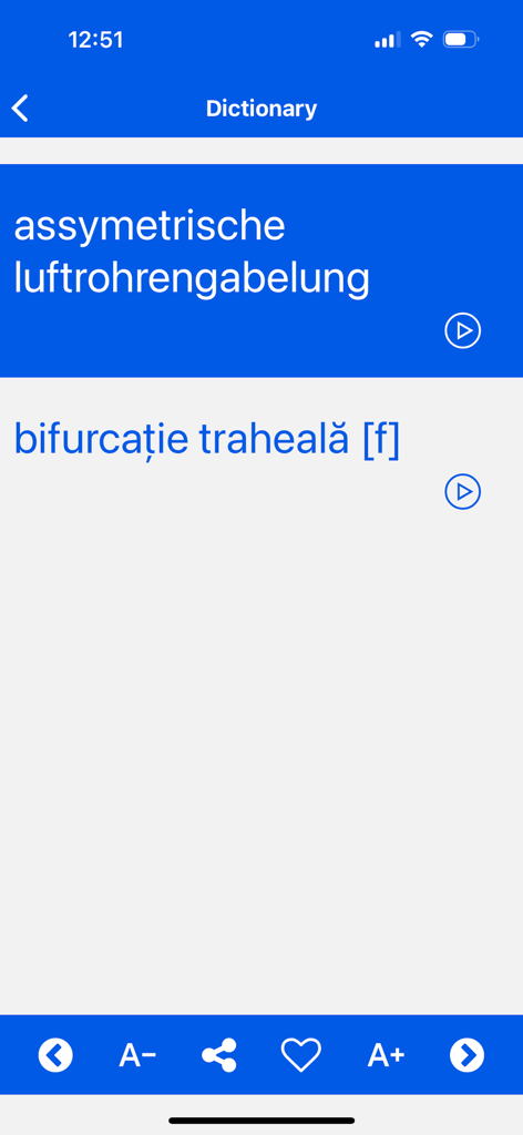 German Romanian Dictionary - A screenshot of the German Romanian Dictionary app showing a technical term translation from German to Romanian