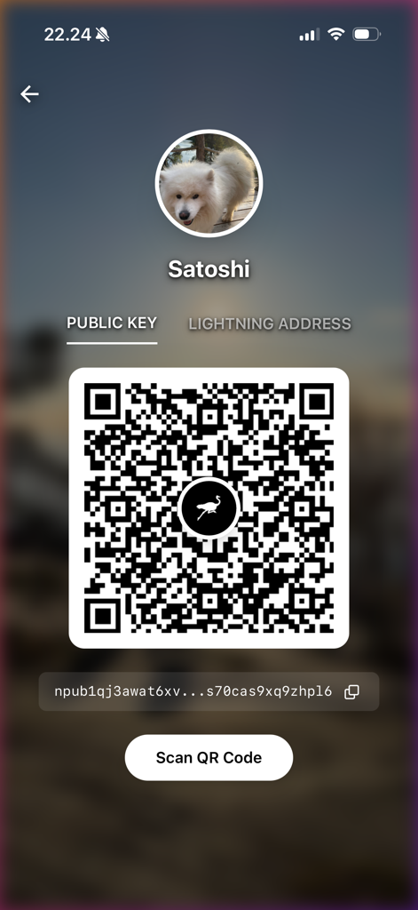 Iris – The Nostr client - User profile screen in Iris app showing a cryptographic public key QR code for user Satoshi