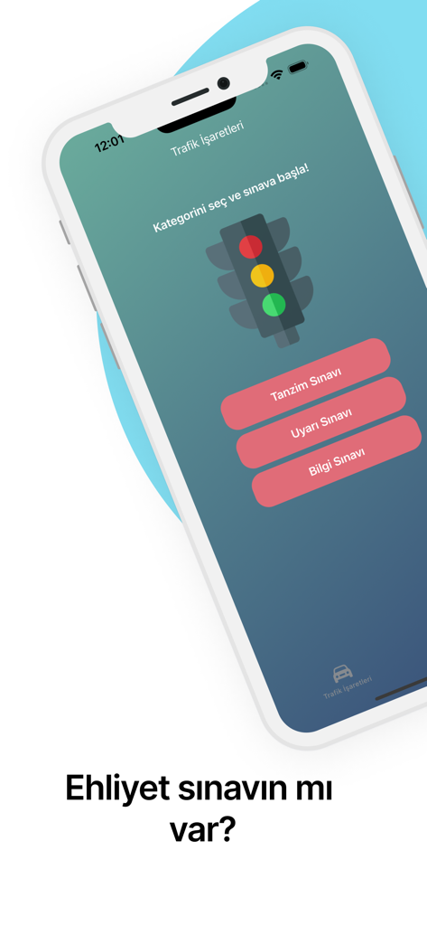 Pantalla de la aplicación Trafik Isaretleri Sinavli mostrando categorías de examen de señales de tráfico e ilustración de un semáforo