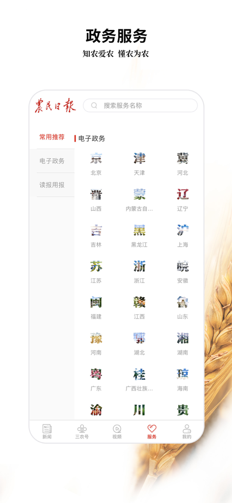 Screenshot of the Government Services section in the Farmers Daily app showing links for various Chinese provinces.