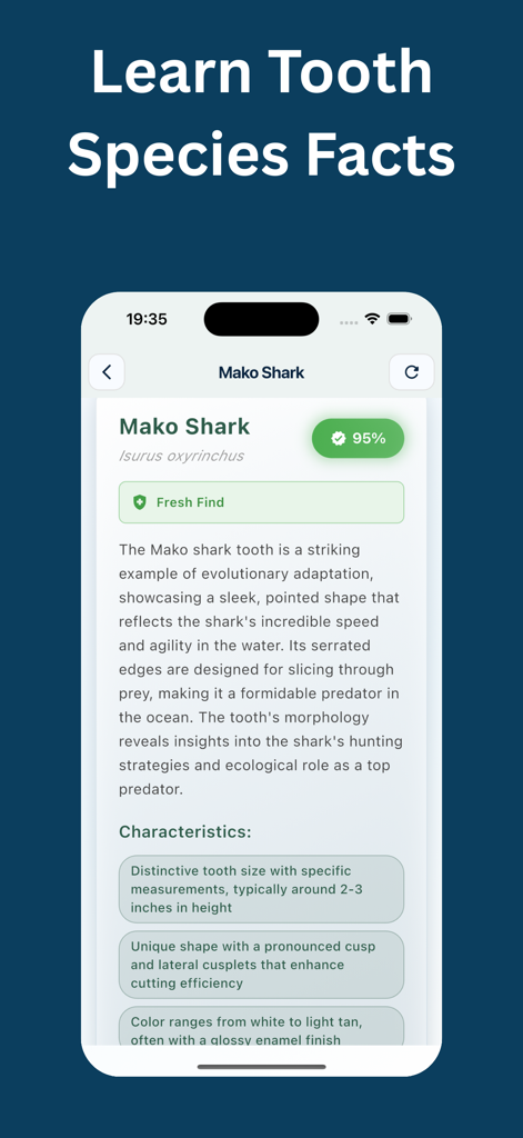 Shark Tooth Identifier: Scan - A mobile app interface displaying scientific facts, evolutionary history, and physical characteristics of a Mako shark tooth.